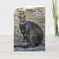 Feliz Dia das Mães Wallaby Bebê Joey