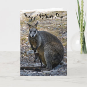Cartão Feliz Dia das Mães Wallaby Bebê Joey