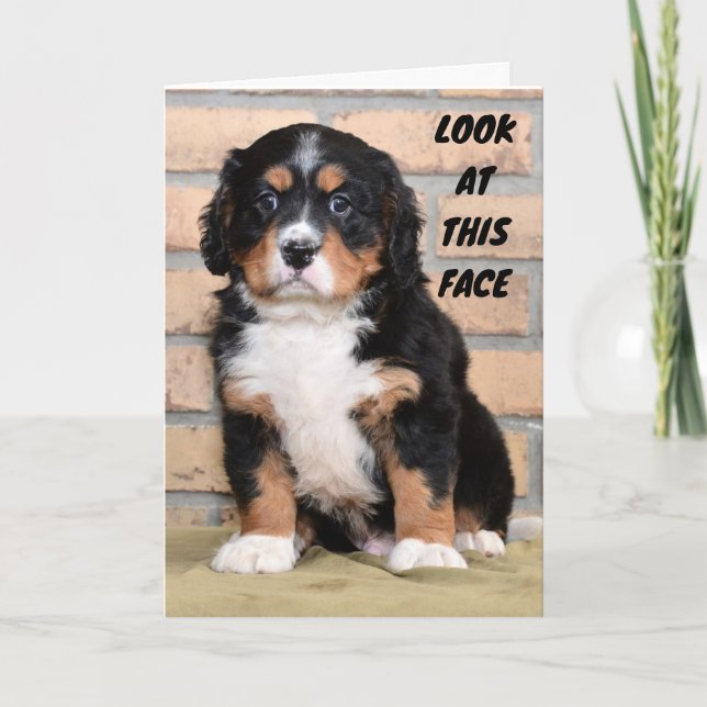 CARTÃO "FELIZ DIA DE AÇÃO DE GRAÇAS PARA VOCÊ" DIZ SAD DO (Frente)