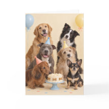 Feliz Dia de Adoção do Cachorro, Aniversário da Fe