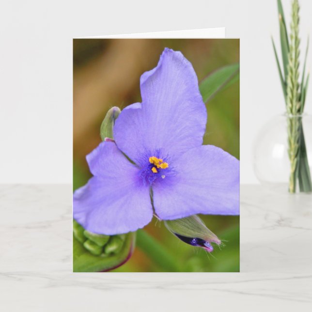 Cartão Feliz Dia de as mães! (Frente)