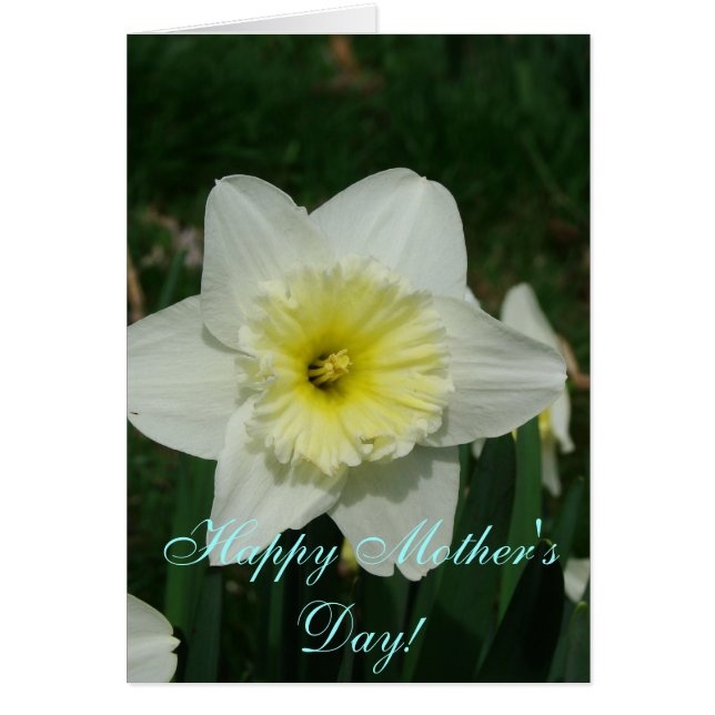 Cartão Feliz Dia de as mães! (Frente)