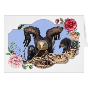 Cartão Feliz Dia de as mães, Águias