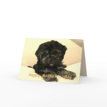 Feliz Dia de as mães Cachorro de Bebê