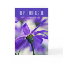 Feliz Dia de as mães - Geral - Cineraria Roxo