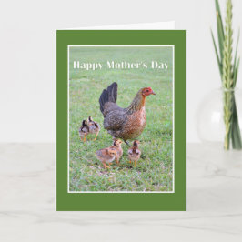 Cartão Feliz Dia de as mães Hen e Pintinhos