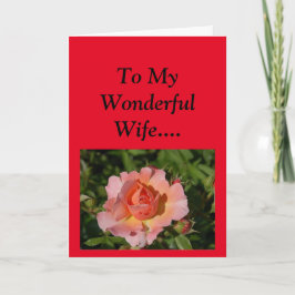 Cartão Feliz Dia de as mães para a minha esposa!