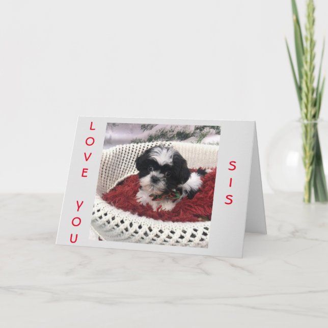 CARTÃO FELIZ *DIA DE AS MÃES* PARA ****IRMÃ ESPECIAL!**** (Frente)