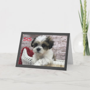 CARTÃO FELIZ *DIA DE AS MÃES* PARA ****IRMÃ ESPECIAL!****