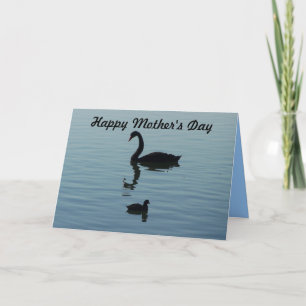 Cartão Feliz Dia de as mães - Swan e bebê