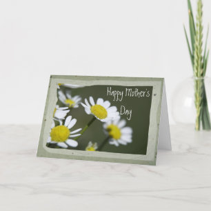 Cartão Feliz dia de as mães White Daisies