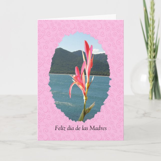 Cartão Feliz dia de las Madres general (Frente)