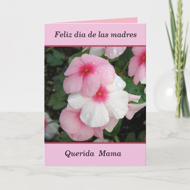Cartão Feliz dia de las madres mama (Frente)
