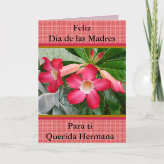 Cartão Feliz Dia de las Madres Querida Hermana 321