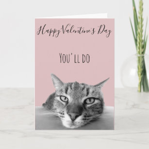 Prendas para gatos no Dia dos Namorados