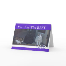 Feliz Dia de os pais dos gatos