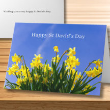 Feliz Dia de São Davi Narcisos Saudação Galês