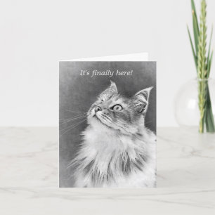 Cartão Feliz Dia do Bolo!