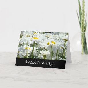 Cartão Feliz Dia do Chefe! Cartazes Brancos Flores Daisy
