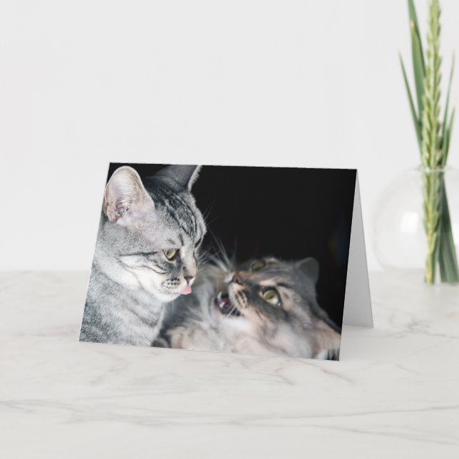 Cartão Feliz Dia dos Irmãos! (Frente)