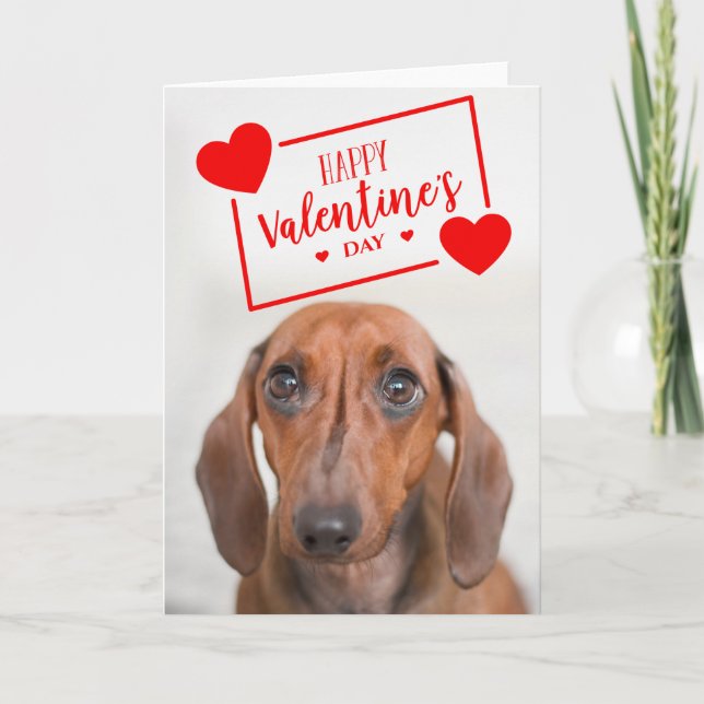 Cartão Feliz Dia dos Namorados | Cachorrinho Dachshund Fo (Frente)