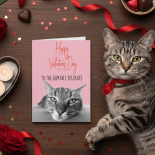 Cartão Feliz Dia dos Namorados do Gato para Humano Engraç
