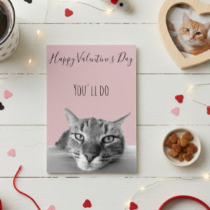 Cartão Feliz Dia dos Namorados do Gato para o Humor Human