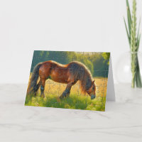 Feliz Dia Nacional do Quebra-cabeça