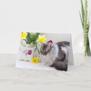 Cartão Feliz Dia Nacional dos Irmãos!