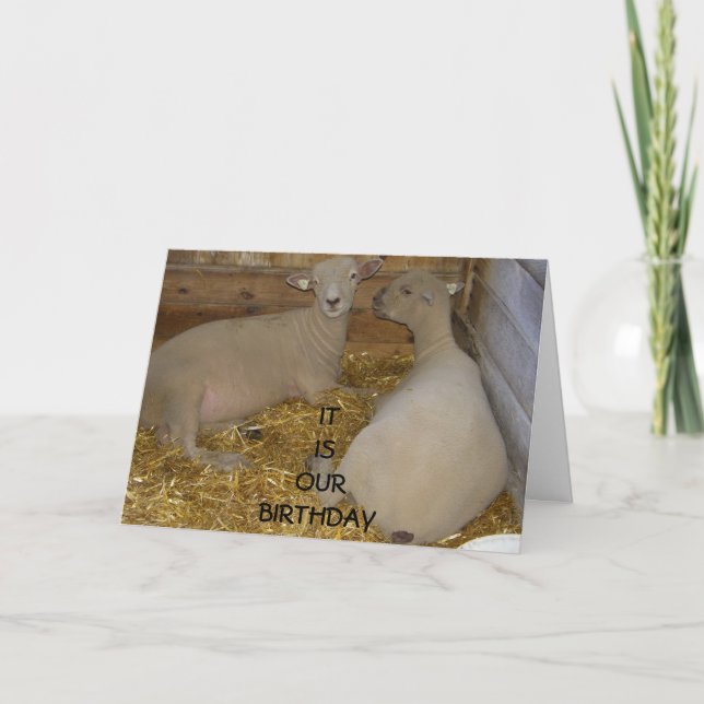 CARTÃO FELIZ É O NOSSO ANIVERSÁRIO (Frente)