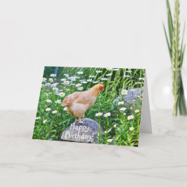 Cartão Feliz Frango De Aniversário Com Disias