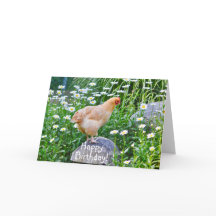 Feliz Frango De Aniversário Com Disias