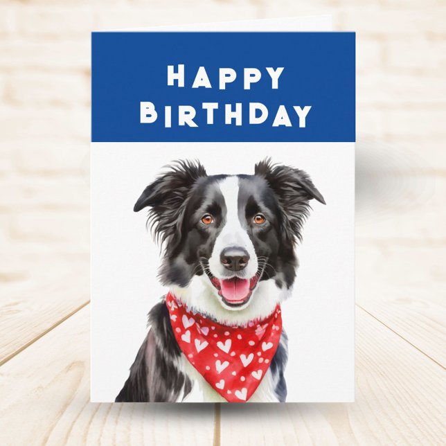 Cartão Feliz Fronteira Collie Leia Heart Bandana Birthday (Criador carregado)