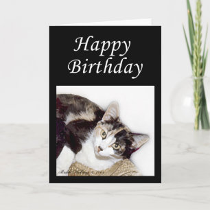 Cartão Feliz Gatinho de aniversário