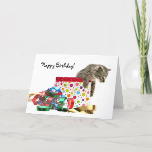 Cartão Feliz gatinho de aniversário