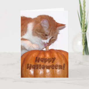 Cartão Feliz gato bonitinho de Halloween com abóbora