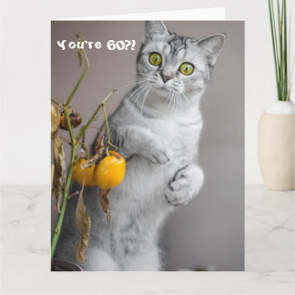Cartão Feliz Gato Feliz 60º Aniversário