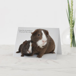 Cartão Feliz GRADUAÇÃO