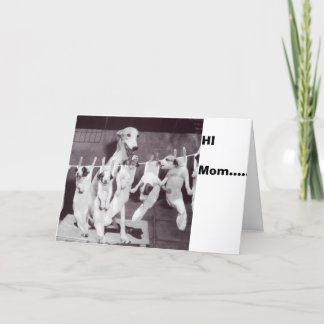 Cartão Feliz Greyhound com seus Puppies 55 de Nat Fein