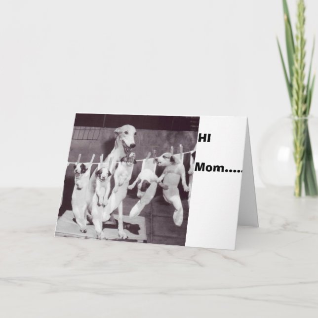 Cartão Feliz Greyhound com seus Puppies 55 de Nat Fein (Frente)