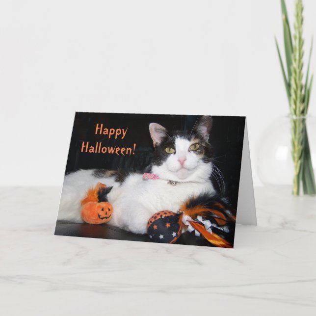 Cartão Feliz Halloween Cat Calico Gatinho com Pumpkin (Frente)