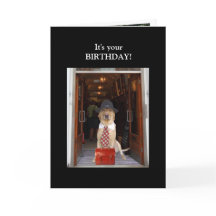 Feliz Laboratório Masculino Aniversário