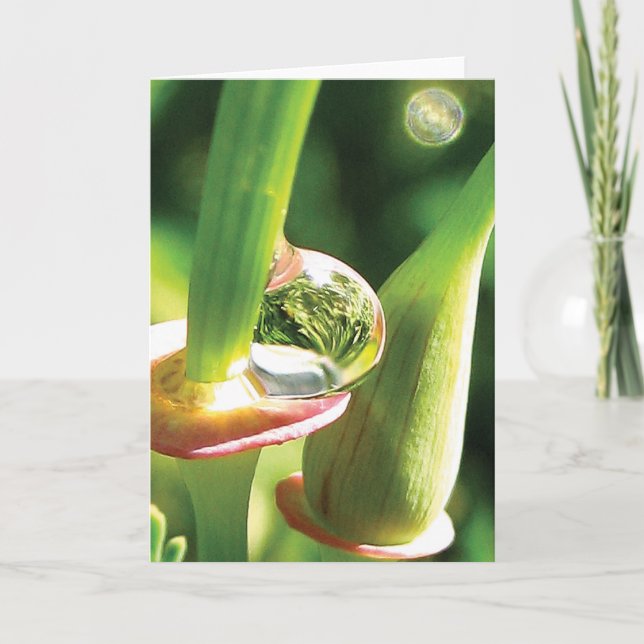 Cartão Feliz, Mágico, Amizade de Largar (Frente)