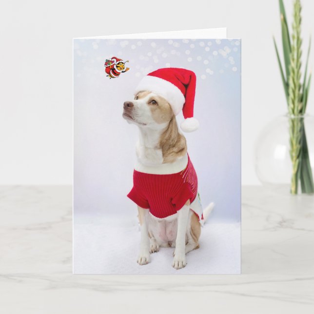 Cartão Feliz Natal. (Frente)