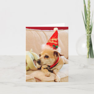 Cartão Feliz Natal Chihuahua Lindinha 4Sadie