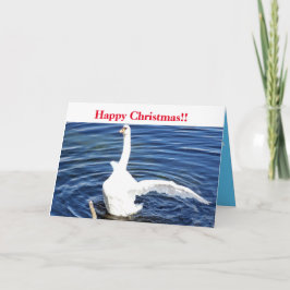 Cartão Feliz Natal Cisne