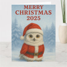 Feliz Natal Coruja 