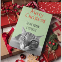 Feliz Natal De Gato Para Humano Eu Engraçado