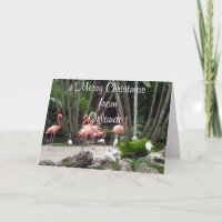 Feliz Natal de Orlando