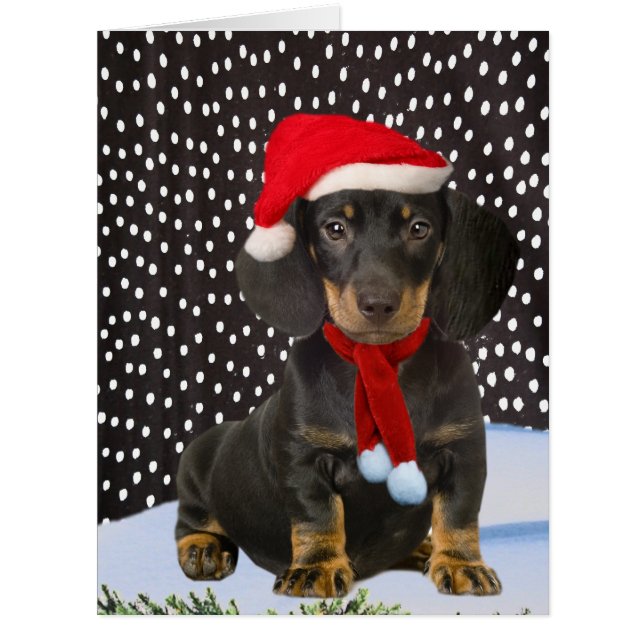 Cartão Feliz Natal do Dachshund (Frente)